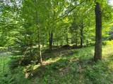 Lot 5 Grace Ln - Photo 16