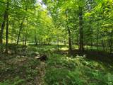 Lot 5 Grace Ln - Photo 19