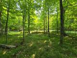 Lot 5 Grace Ln - Photo 24