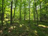 Lot 5 Grace Ln - Photo 25