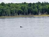 Lot 5 Grace Ln - Photo 30