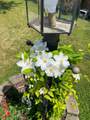 613 5TH AVE - Photo 4