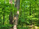 W4427 Spring Rd - Photo 25