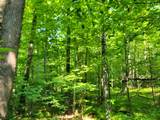 W4427 Spring Rd - Photo 31