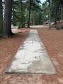 8308 Half Mile Rd - Photo 39