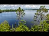 2482 Clearwater Lake Trl - Photo 80