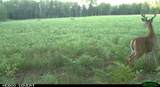 N11067 Cth F - Photo 73