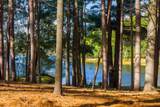 8573 Hower Rd - Photo 2