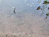 8573 Hower Rd - Photo 21