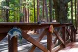 8573 Hower Rd - Photo 7