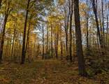 W2509 Trappers Rd - Photo 13
