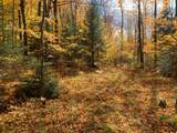 W2509 Trappers Rd - Photo 31
