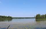 Lot 2 Forest Ln - Photo 1