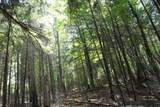 Lot 2 Forest Ln - Photo 4
