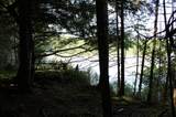 Lot 2 Forest Ln - Photo 5