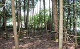 Lot 2 Forest Ln - Photo 6
