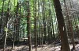 Lot 2 Forest Ln - Photo 8