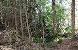 Lot 2 Forest Ln - Photo 9