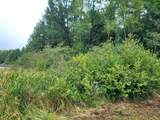 Lot #3 Timbering Haven Dr - Photo 2