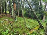 Lot #3 Timbering Haven Dr - Photo 7