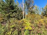 30A Off Minnow Creek Rd - Photo 18