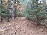 LOT 4 High Pines Ct - Photo 7