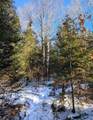 00 Bear Lake Rd - Photo 11