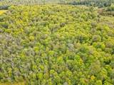 10 acres Bass Lake Rd - Photo 18