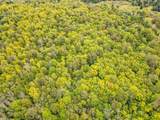 10 acres Bass Lake Rd - Photo 19
