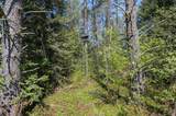 5145 Tamarack Rd - Photo 30