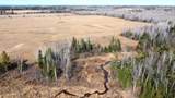 49746 Griffith Rd - Photo 13