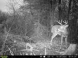49746 Griffith Rd - Photo 16