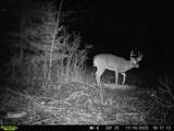 49746 Griffith Rd - Photo 18