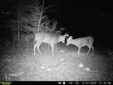 49746 Griffith Rd - Photo 19