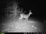 49746 Griffith Rd - Photo 20