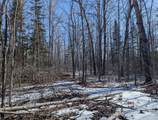 49746 Griffith Rd - Photo 24
