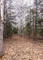 49746 Griffith Rd - Photo 29