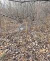 49746 Griffith Rd - Photo 30
