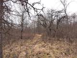 49746 Griffith Rd - Photo 32