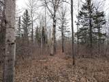 49746 Griffith Rd - Photo 34