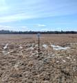 49746 Griffith Rd - Photo 35