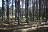 ON Pine Grove Cr - Photo 7