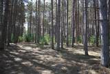 ON Pine Grove Cr - Photo 8