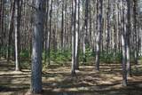 ON Pine Grove Cr - Photo 9