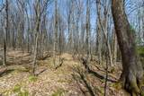 Lot 11 Red Fox Rd - Photo 9