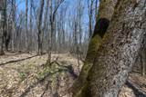 Lot 13 Red Fox Rd - Photo 7