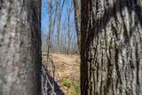 Lot11-13 Red Fox Rd - Photo 15