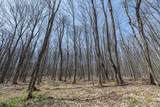 Lot11-13 Red Fox Rd - Photo 6