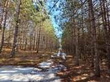 ON Roe Lake Rd - Photo 34