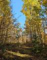 63355 Trout Lake Rd - Photo 10